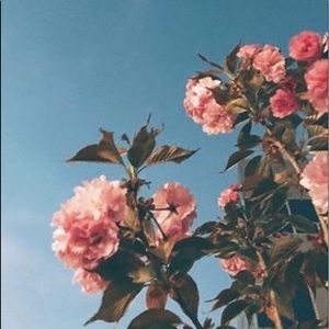 Meet your Posher, Arwa